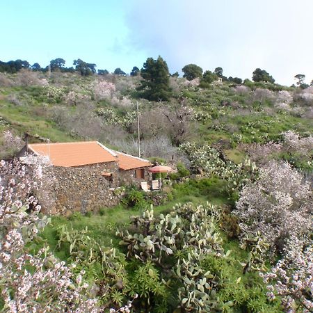 Casa rural La Jarita El Pinar de El Hierro Exterior foto