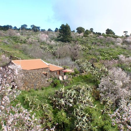 Casa rural La Jarita Hostal El Pinar de El Hierro Exterior foto