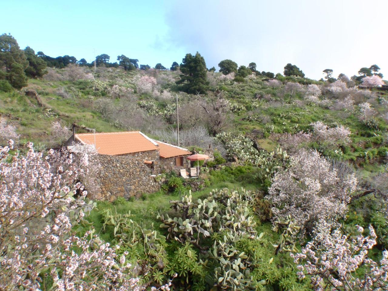 Casa rural La Jarita Hostal El Pinar de El Hierro Exterior foto