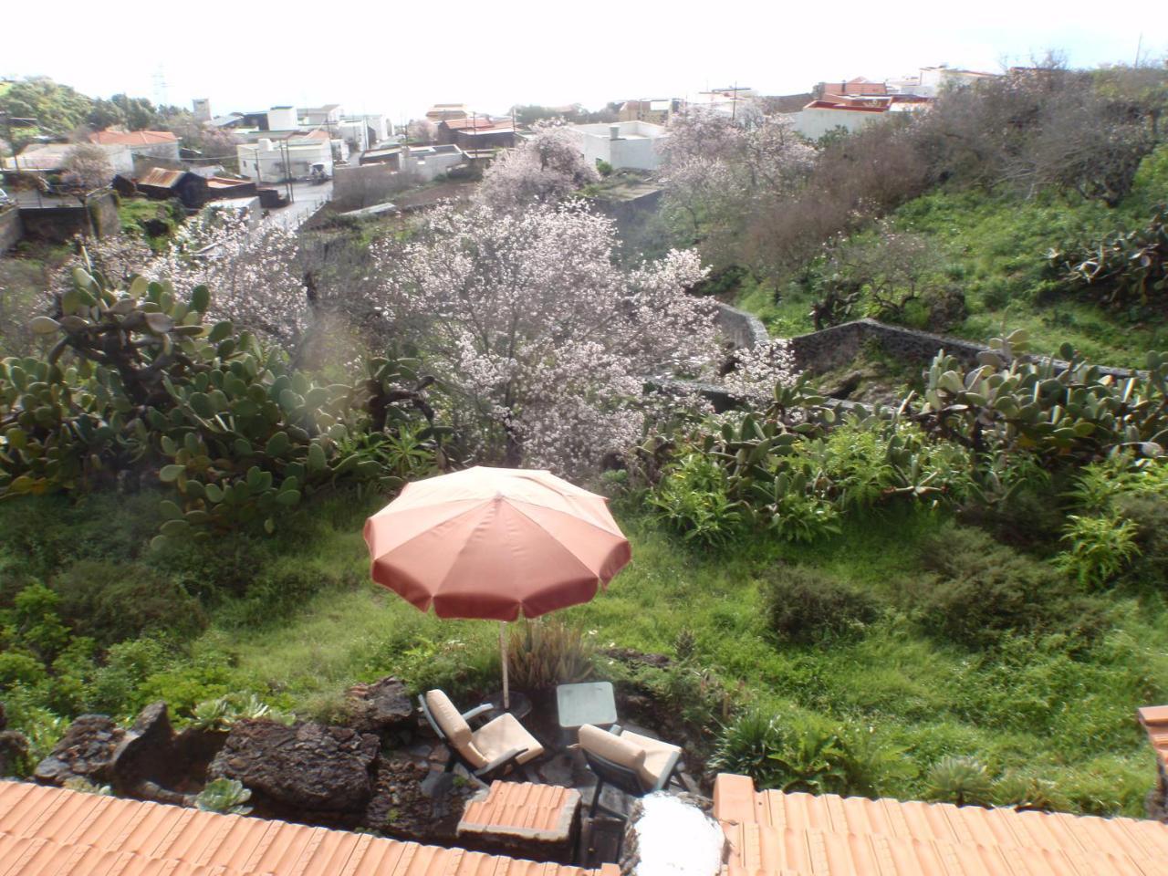 Casa rural La Jarita El Pinar de El Hierro Exterior foto